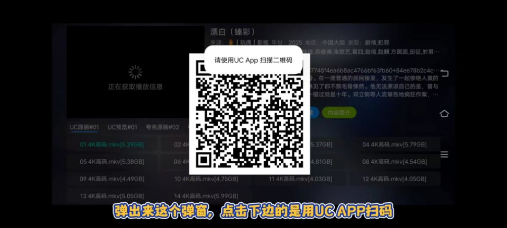 图片[6]-⚡影视仓 – 电视TV必备点播软件（强烈推荐）-八百副业网