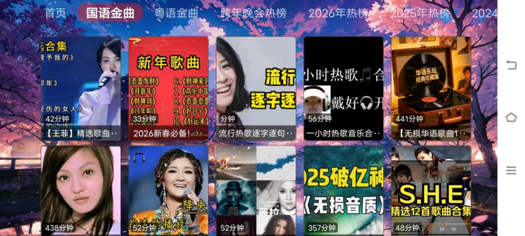 图片[2]-⚡鲸落音乐盒 – 电视听歌软件-八百副业网