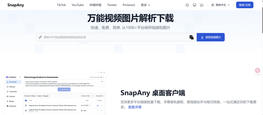 ⚡SnapAny – 万能短视频无水印下载网站-八百副业网